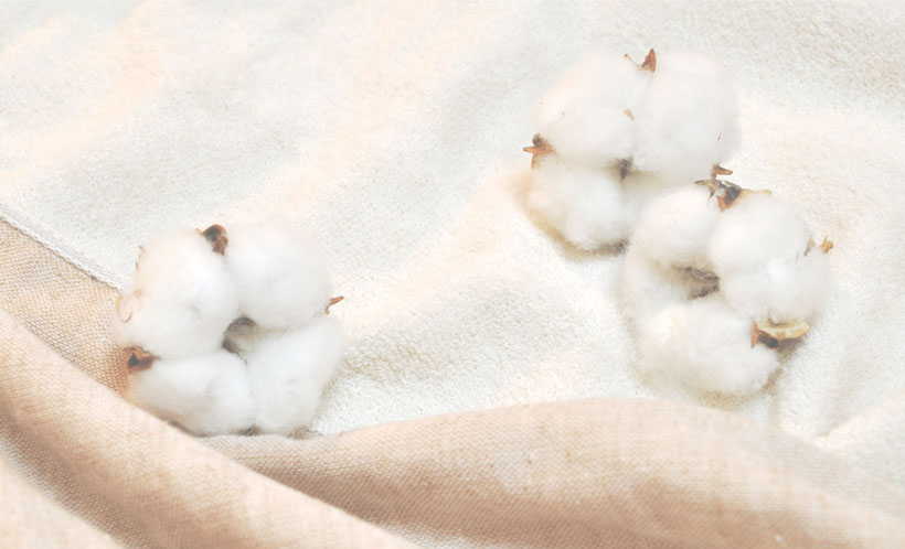 天然繊維のチカラを信じて