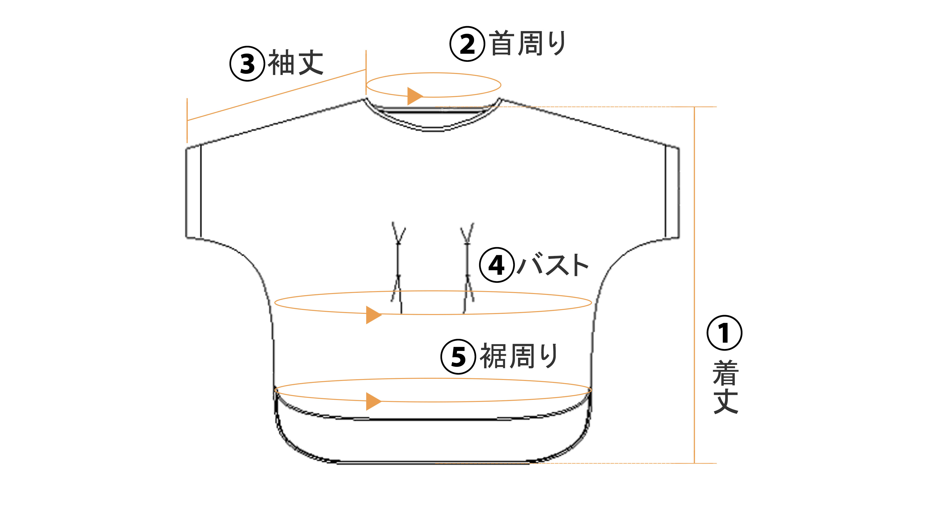 レディースサイズ表
