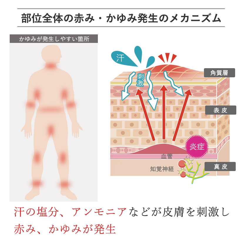 一枚で透けにくい