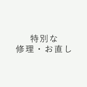 特別な修理