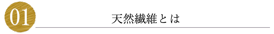 天然素材（繊維）とは
