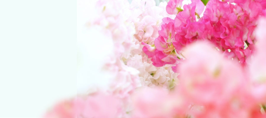 人の肌成分に近い18種類のアミノ酸でできたタンパク質