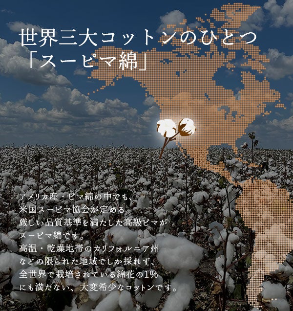 世界三大コットンのひとつ「スーピマ綿」