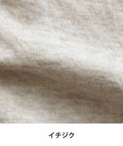 31004　イチジク